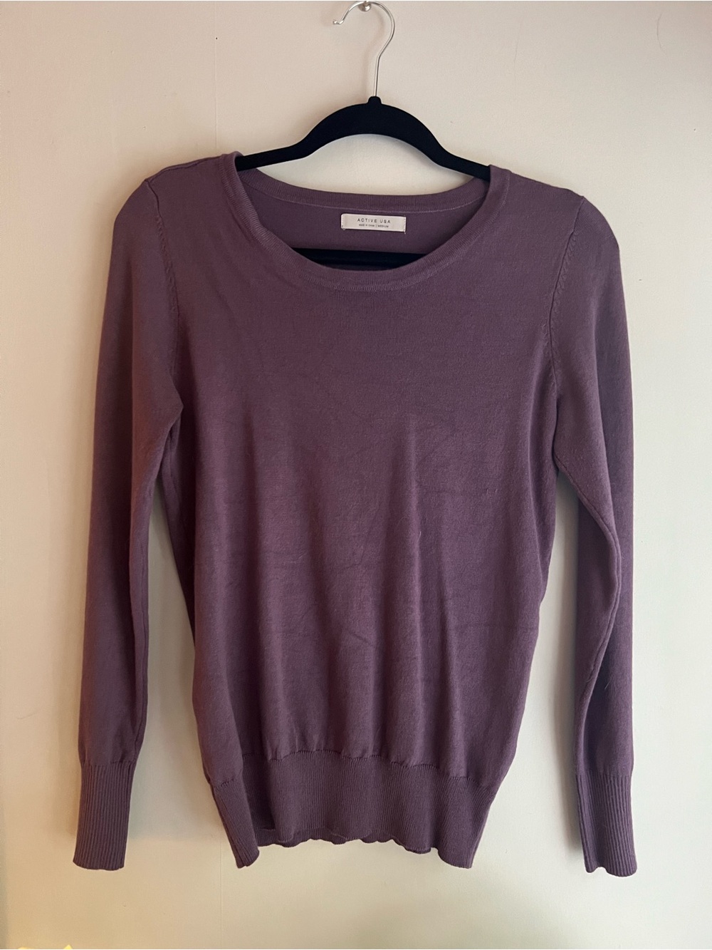 Active USA Long Sleeve Crewneck Sweater - Mauve